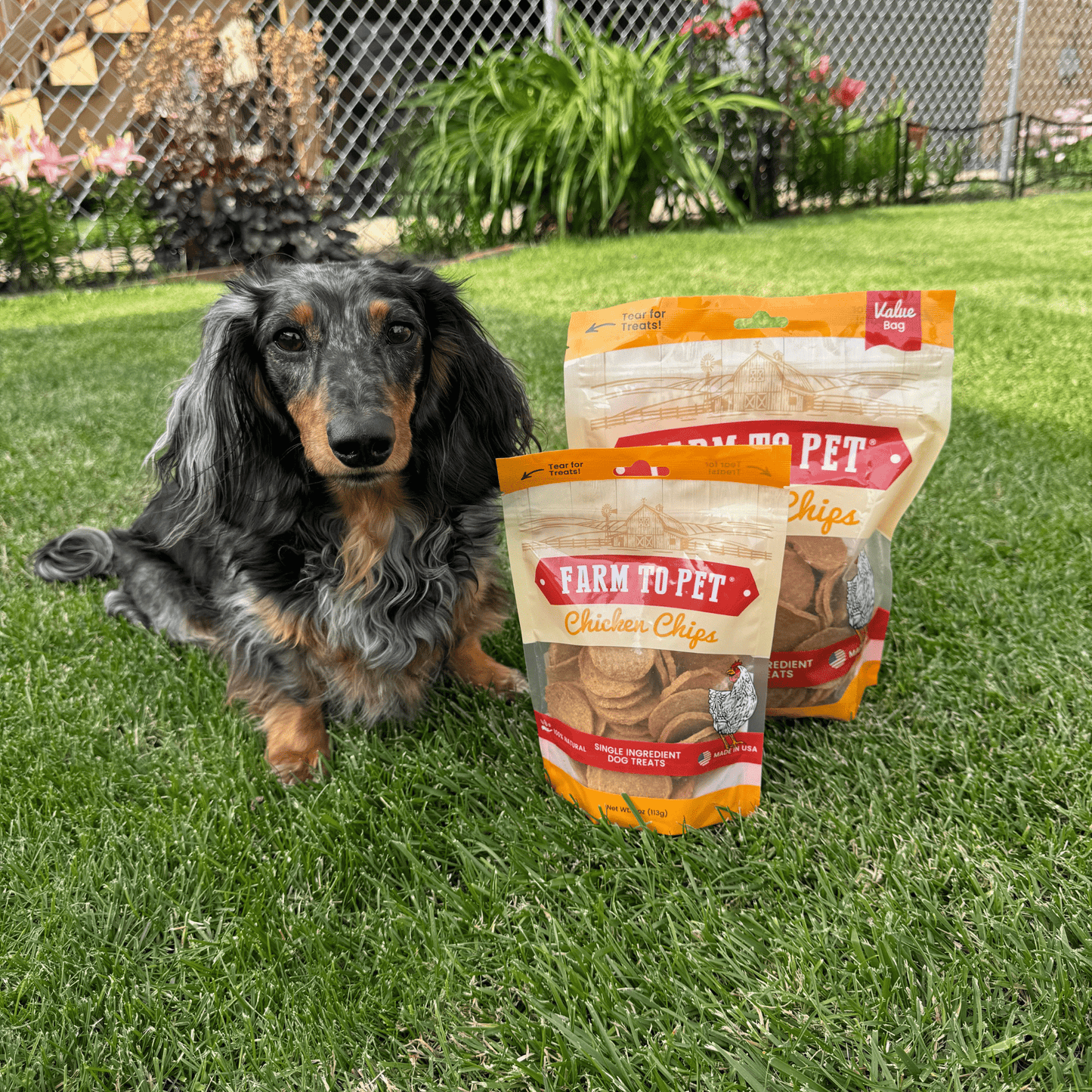 Patatas fritas de pollo para perros | Premios para perros de un solo ingrediente totalmente naturales