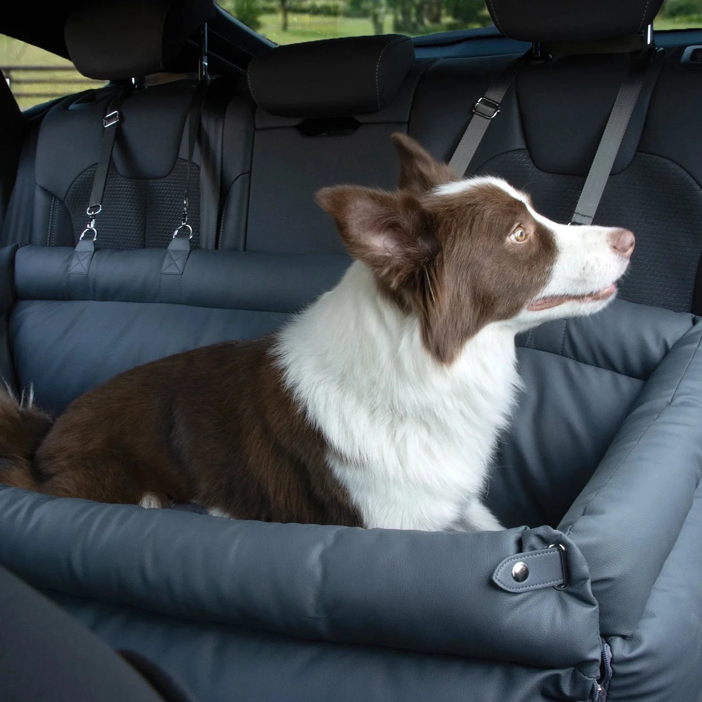 La cama doble para asiento de coche Milano – Lujo para el viaje de tu mascota