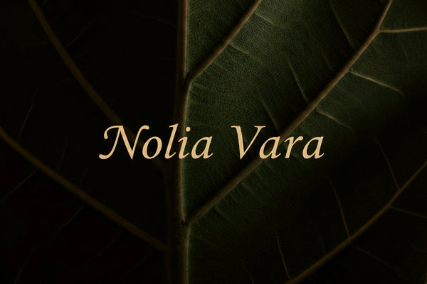 Nolia Vara